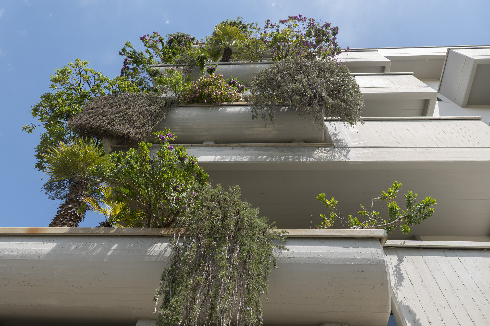Facciata del residence con verde verticale, esempio di bioarchitettura
